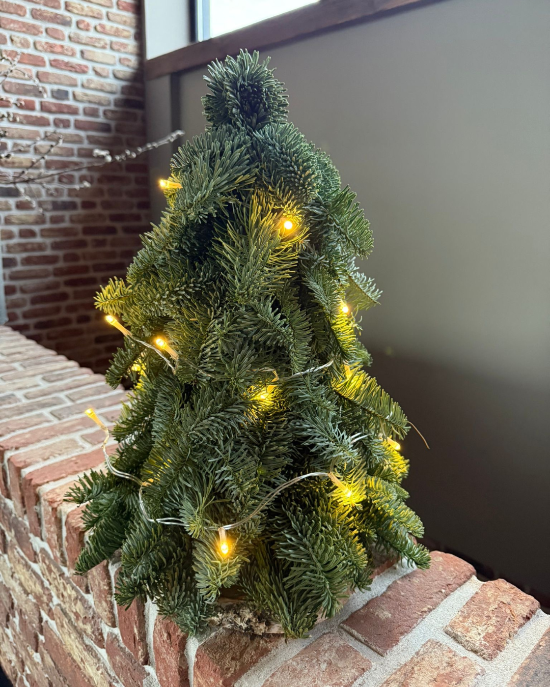 Weektopperrr: Charmante Nobilis Kerstboom – Straalt vanzelf, sfeert vanzelf!